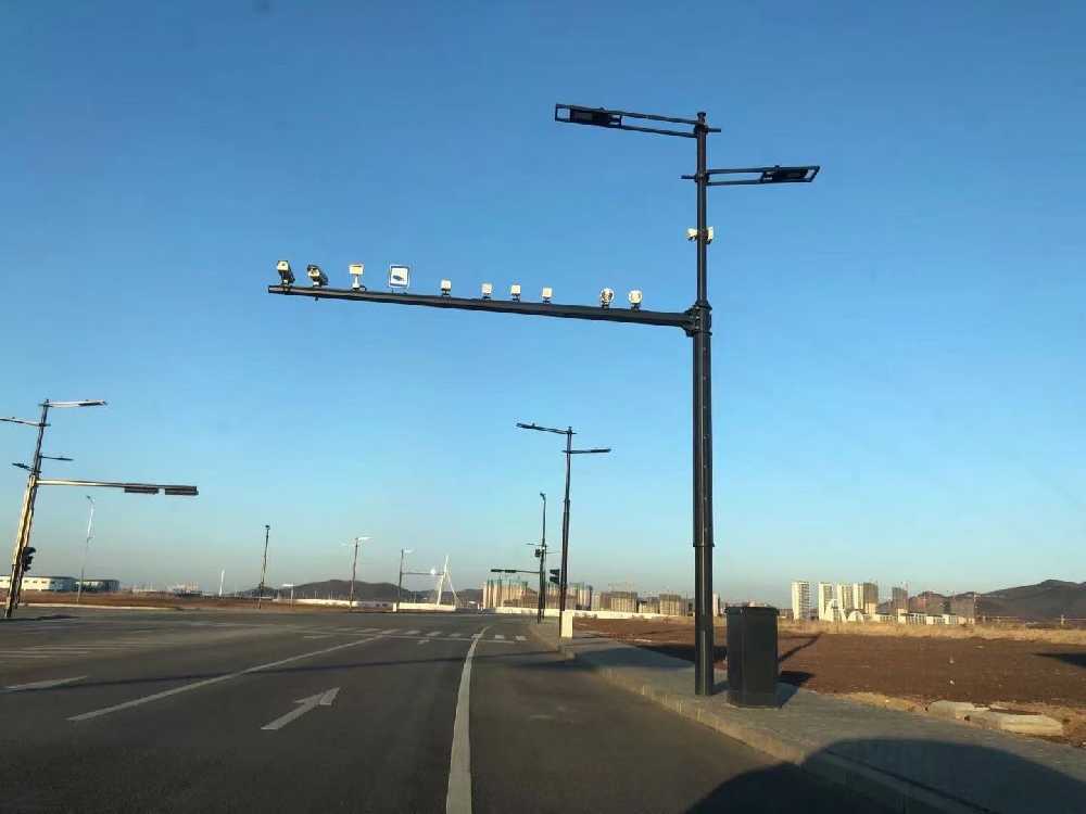 樟树市黑龙江佳木斯综合路灯杆项目