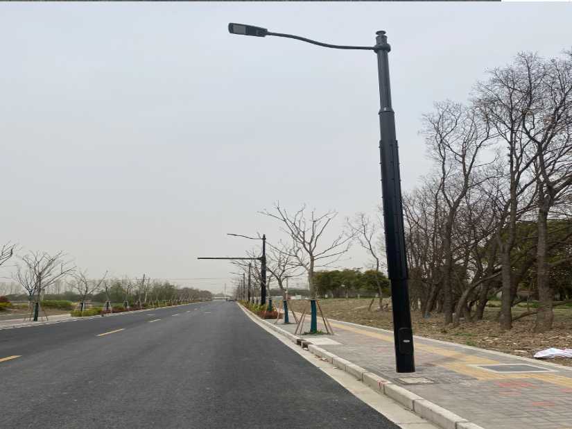 樟树市上海综合杆 太阳能路灯工程